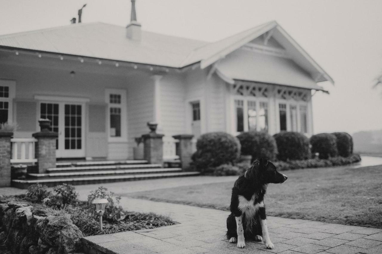 Wallingford Homestead Exterior foto